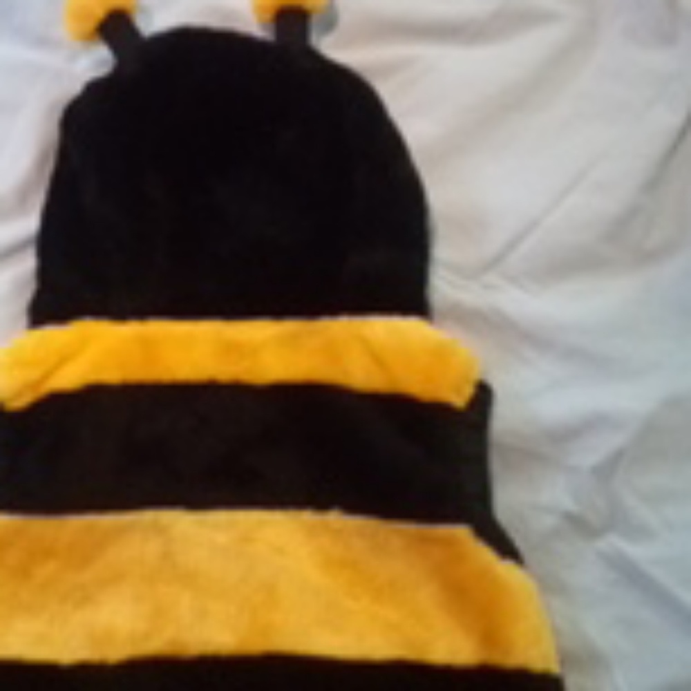 Halloween costume/bumblebee